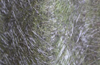 Weston Patrick fibreglass roof work